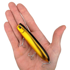 Cane Walker Saltwater