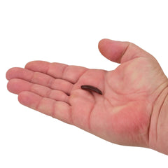 Gulp!® Pinched Crawler