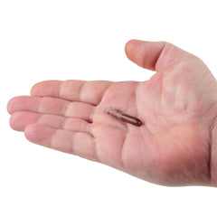 PowerBait® Atomic Tubes