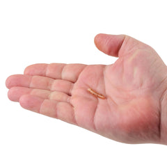 PowerBait® Atomic Tubes