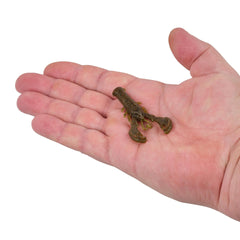 PowerBait® MaxScent Lil' Super Trooper