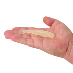 PowerBait® Saltwater Bonga Shrimp