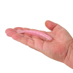 PowerBait® Saltwater Bonga Shrimp