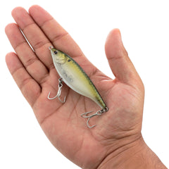 Stick Shadd Saltwater