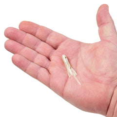 PowerBait® Pre-Rigged Atomic Teasers