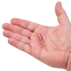 PowerBait® Pre-Rigged Atomic Teasers