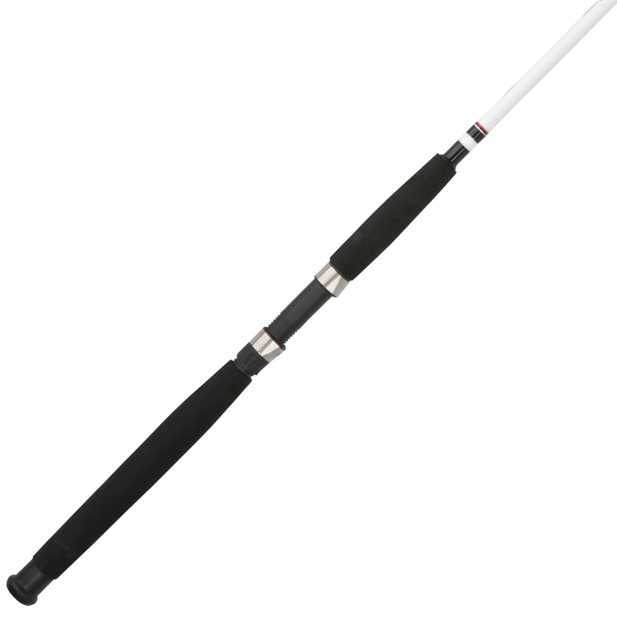 Big Game™ Spinning Rod